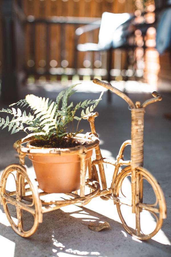 Vila Wynkoop At Carlton: Taste Of Europe, Walk To Wineries, Dog Friendly Exteriér fotografie
